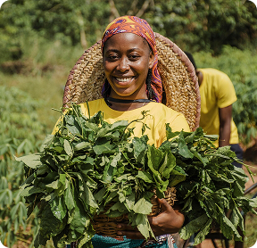 Farmer